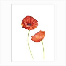 Poppies 11 Art Print