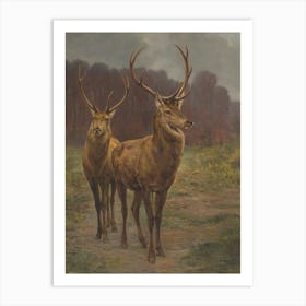 Vintage Stag And Deer 1 Art Print