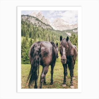 Friesian Horses In Austria Art Print