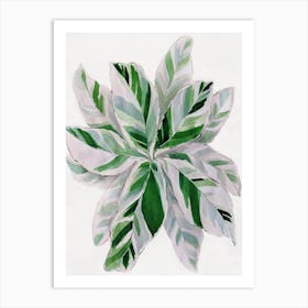 Watercolor painting of green leaves Art Print