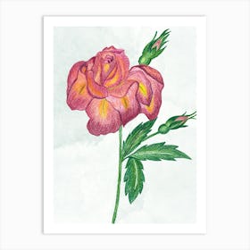 Boutique Rose Art Print