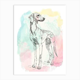Pastel Saluki Dog Pastel Illustration 2 Art Print