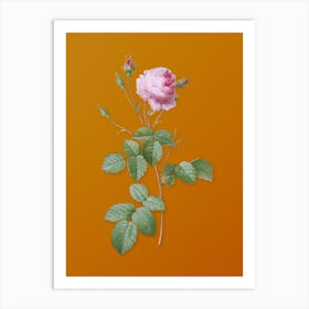 Vintage Provence Rose Botanical on Sunset Orange n.0116 Art Print