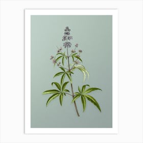 Vintage Chaste Tree Botanical Art on Mint Green n.0443 Art Print