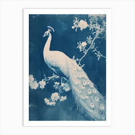 Floral White & Blue Peacock 1 Art Print