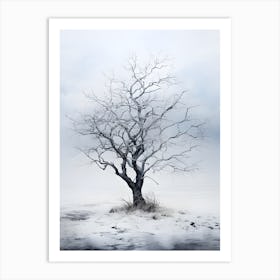 Winter Tree 2 Art Print