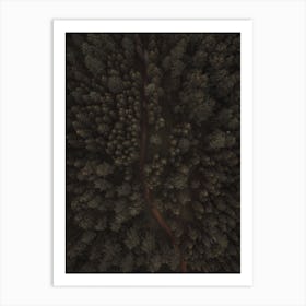 Aerial Forest Scenery Art Print