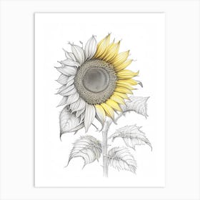 Sunflower Floral Quentin Blake Inspired Illustration 5 Flower Art Print