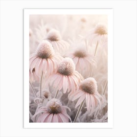 Frosty Botanical Coneflower Art Print