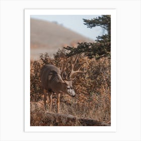 Autumn Deer Scenery Art Print