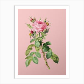 Vintage Lelieur's Four Seasons Rose Botanical on Soft Pink n.0793 Art Print