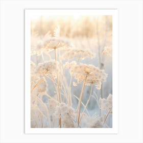 Frosty Botanical Queen Annes Lace 6 Art Print