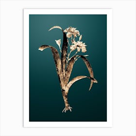 Gold Botanical Iris Fimbriata on Dark Teal n.0154 Art Print