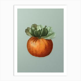 Vintage Bigarade Orange Botanical Art on Mint Green n.0057 Art Print