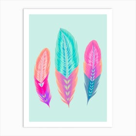 Colorful Feathers 2 Art Print