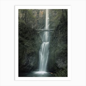 Washington Forest Waterfall Art Print
