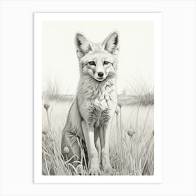 Tibetan Sand Fox In A Field Pencil Drawing 2 Art Print