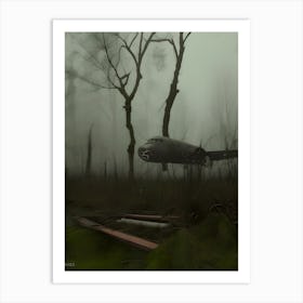 Plane In The Fog 1 Art Print