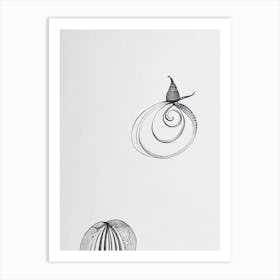 Sea Snail Black & White Drawing Art Print