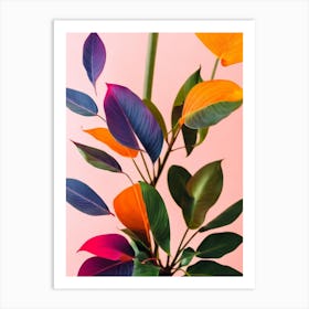 Split Leaf Philodendron Colourful Illustration Plant Art Print