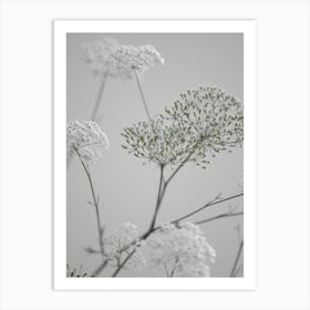White Greige Flower Blossoms Art Print