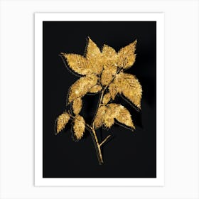 Vintage American Hophornbeam Botanical in Gold on Black n.0072 Art Print