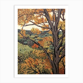 Black Locust 2 Vintage Autumn Tree Print  Art Print