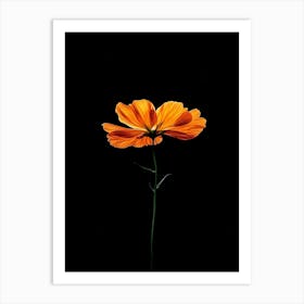 Cosmos 3 Art Print