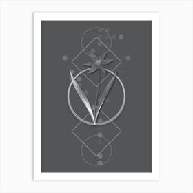 Vintage Tulipa Celsiana Botanical with Line Motif and Dot Pattern in Ghost Gray n.0355 Art Print