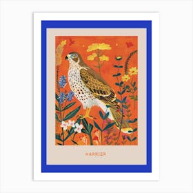 Spring Birds Poster Harrier 3 Art Print