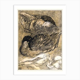 Two Sleeping Ducks (1878–1909), Theo Van Hoytema Art Print