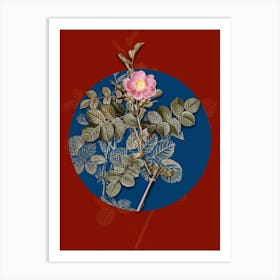 Vintage Botanical Pink Sweetbriar Rose on Circle Blue on Red n.0251 Art Print