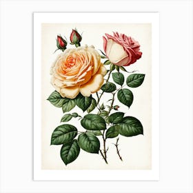 Vintage Galleria Style Rose Art Painting 22 Art Print