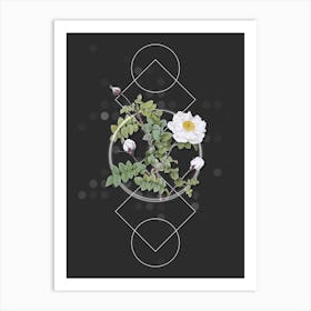 Vintage White Burnet Roses Botanical with Geometric Line Motif and Dot Pattern n.0296 Art Print