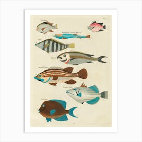 Colourful And Surreal Illustrations Of Fishes Found In Moluccas (Indonesia) And The East Indies, Louis Renard(33) Art Print