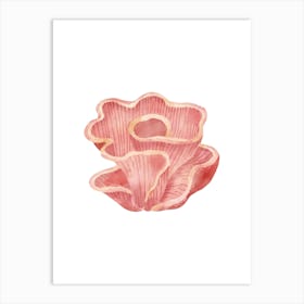 Pink Mushroom Art Print