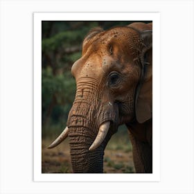 Elephant Tusks Art Print