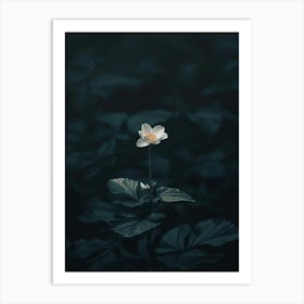 White Flower In The Dark 22 Art Print