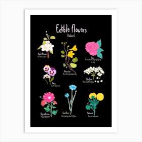 Edible Flowers Art Print