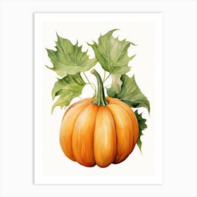 Musque De Provence Pumpkin Watercolour Illustration 1 Art Print