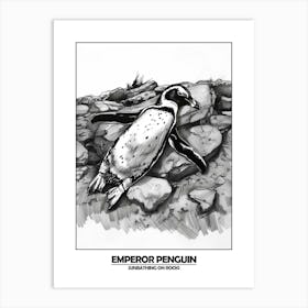 Penguin Sunbathing On Rocks Poster 5 Art Print