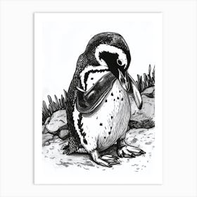 African Penguin Preening Their Feathers 3 Art Print