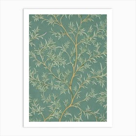 Western Larch tree Vintage Botanical Art Print