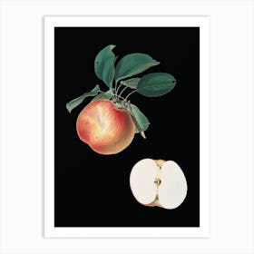 Vintage Apple Botanical Illustration on Solid Black n.0969 Art Print