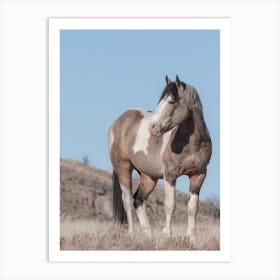 Paint Horse Art Print