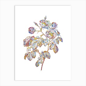 Stained Glass Tomentose Rose Mosaic Botanical Illustration on White n.0196 Art Print