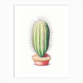 Pincushion Cactus Marker Art 2 Art Print