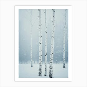 Birch Trees In The Snow Poster