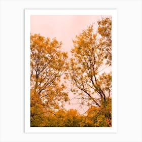 Autumn trees Art Print