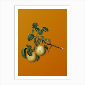 Vintage Pear Botanical on Sunset Orange n.0008 Art Print